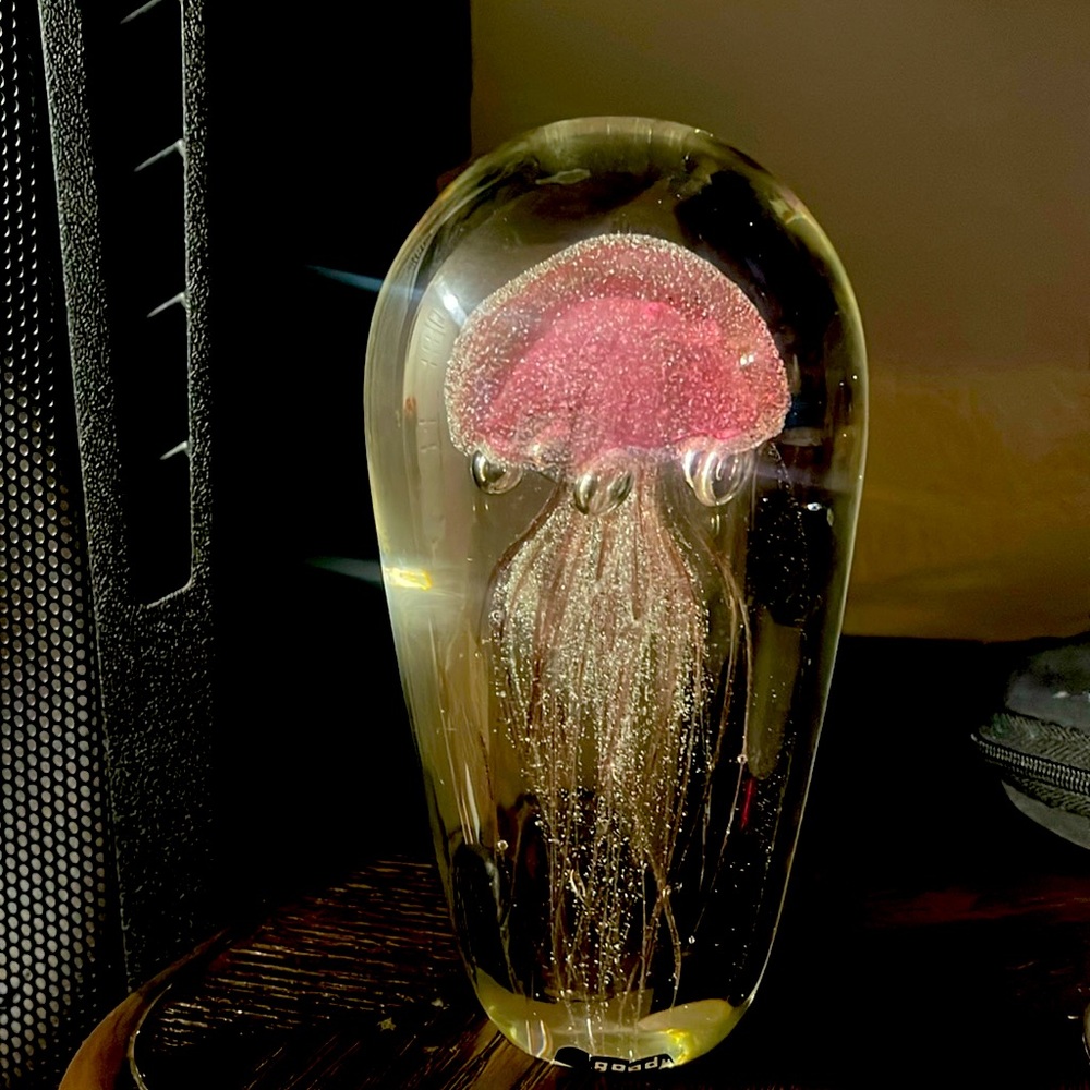 Pink jellyfish